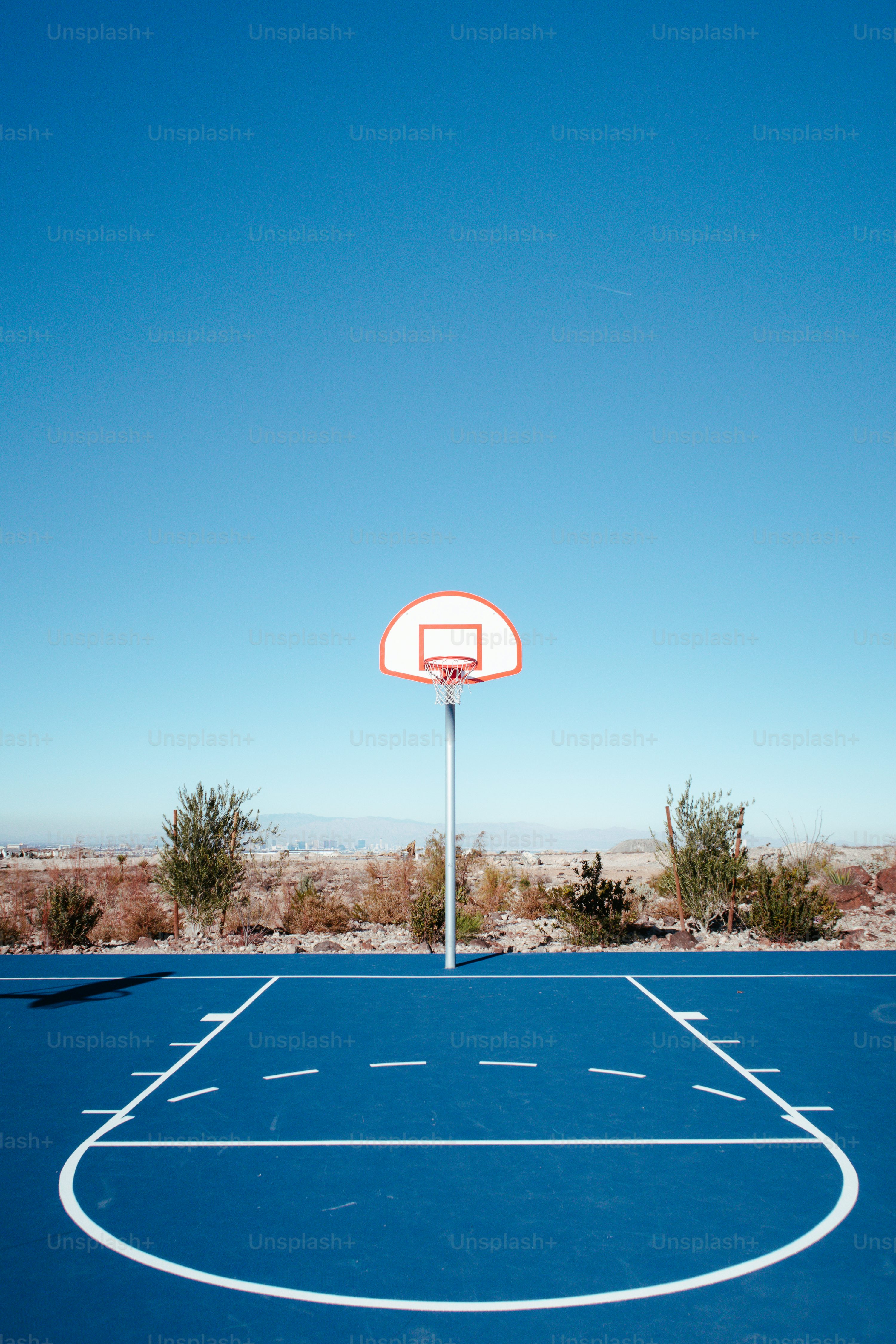 Basketball court